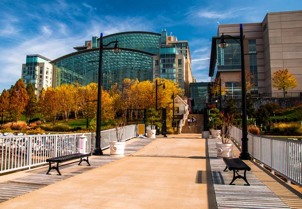 El Gaylord National Resort, visto desde un muelle en el río Potomac — Foto de Stock