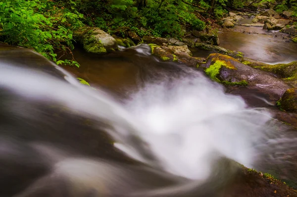 View down a small waterfall on Hogcamp Branch in Shenandoah Nati — Stock Photo, Image