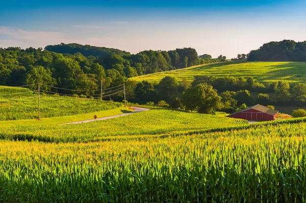 Weergave van korenvelden en een schuur in rural york county, pennsylvania — Stockfoto