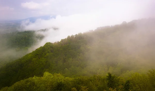 A Blue Ridge, a köd és az égen vastag alacsony felhők képe — Stock Fotó