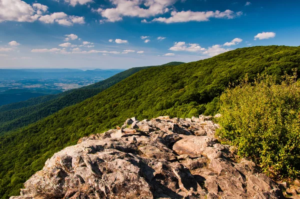 Vue de la vallée de la Shenandoah et des Appalaches depuis Cre — Photo
