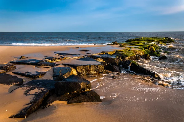 Jetty na praia em Cape May, Nova Jersey . — Fotografia de Stock