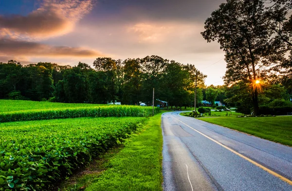 Zonsondergang over een landweg in zuidelijke york county, pennsylvania — Stockfoto