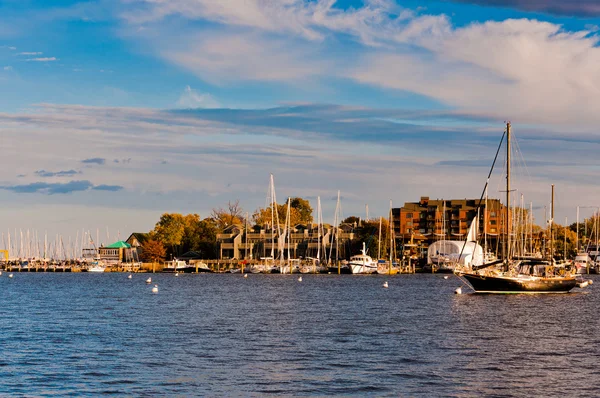 Båtar i hamnen i annapolis, maryland. — Stockfoto