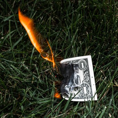 yanan bir dolarlık banknot çim.