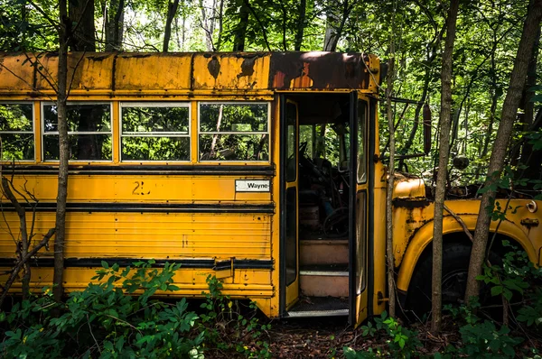 Een roestige oude schoolbus in een autokerkhof. — Stockfoto