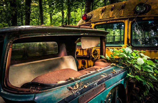 Övergiven lastbil och skolbuss i en skog. — Stockfoto