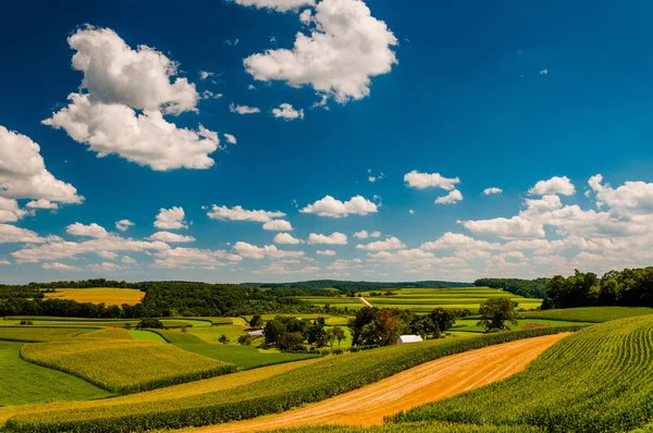 Hermosas nubes de verano sobre colinas onduladas y campos agrícolas en Ru — Foto de Stock