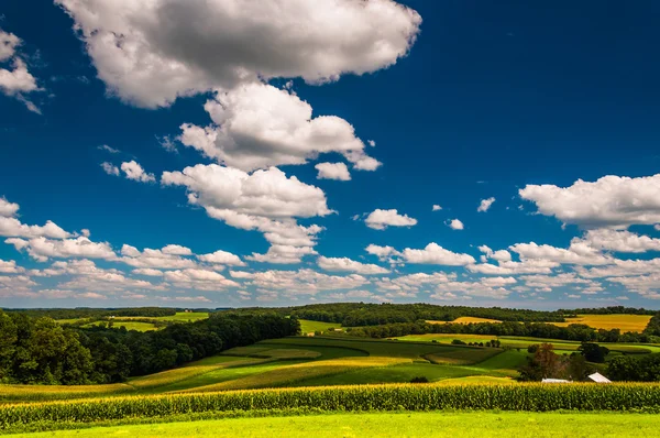 Bellissimo cielo estivo sui campi agricoli nella contea di Southern York, P — Foto Stock