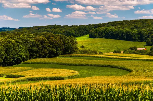 Graangebieden en glooiende heuvels in rural york county, pennsylvania — Stockfoto