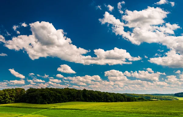 Nuvens de verão sobre campos e colinas no condado rural de York, Penns — Fotografia de Stock