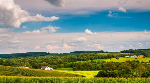 Vista de colinas e campos agrícolas em rural York County, Penn — Fotografia de Stock