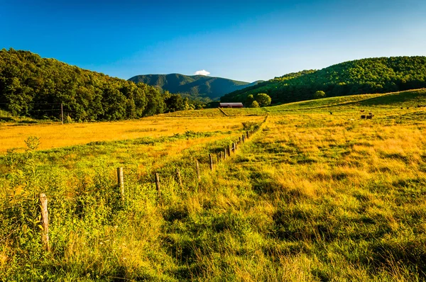 Pasture and view of the Blue Ridge Mountains in the Shenandoah V — Stock Photo, Image