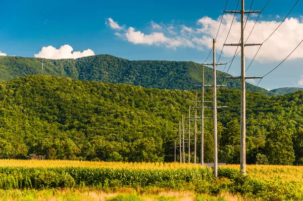 Líneas eléctricas y vista de las montañas Blue Ridge en el Shenando — Foto de Stock