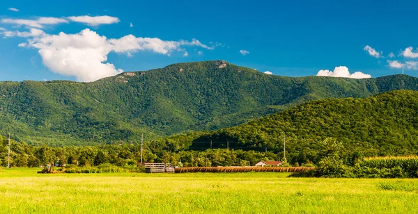The Blue Ridge Mountains, seen from the Shenandoah Valley, Virgi — Stock Photo, Image