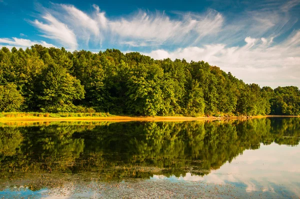 Kvällsljus på stranden av sjön marburg, i codorus state par — Stockfoto