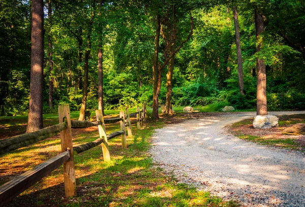 Cerca a lo largo de un camino de tierra a través de un bosque en York, Pennsylvania . — Foto de Stock