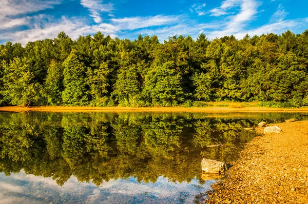 Reflecties langs de oever van lake marburg, codorus state park, — Stockfoto