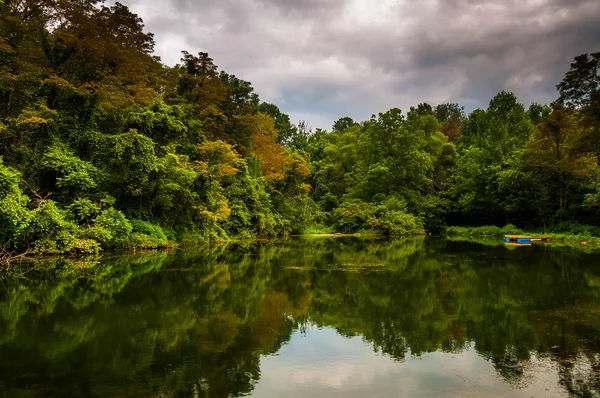 木々 やヨーク郡、ペンシルバニアの池で反映して嵐雲 — ストック写真