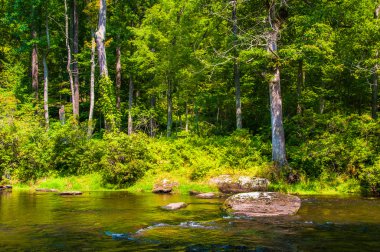 küçük cascades ve kayalar barut falls, baltimore İlçesi, m