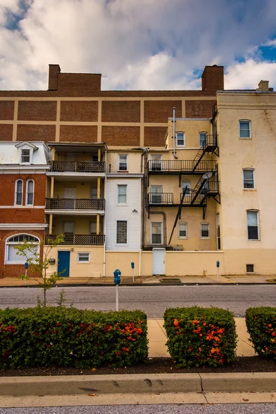 Bushes along a sidewalk and old buildings in Baltimore, Maryland — Stock Photo, Image