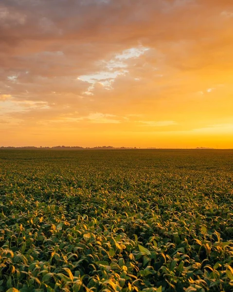 Salida Del Sol Sobre Campo Agrícola Cerca Ruta Towanda Illinois — Foto de Stock