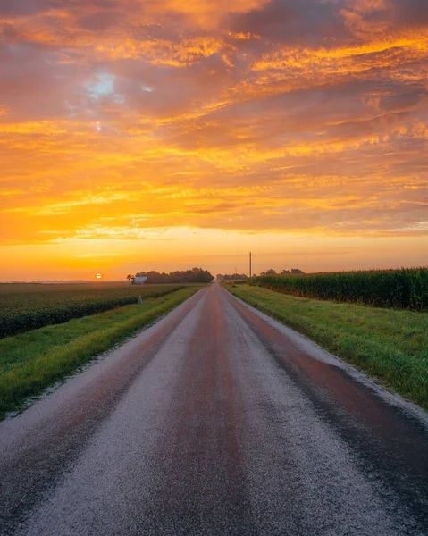 伊利诺伊州Towanda市66号公路附近的一条农场道路和一片玉米地上升起的黎明 — 图库照片