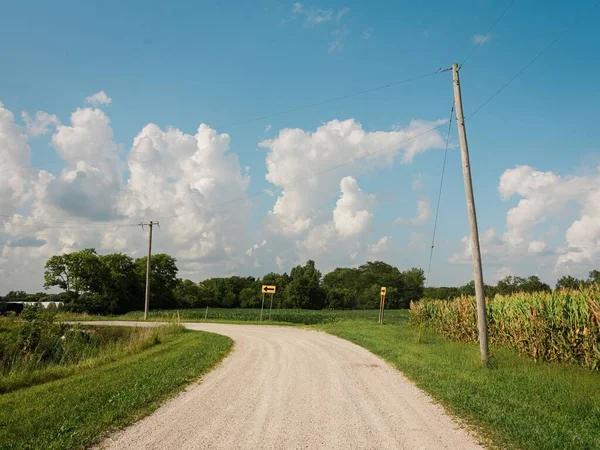 Camino Tierra Con Campos Maíz Una Zona Rural Illinois —  Fotos de Stock