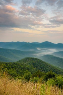 blue ridge dağlarının manzarası sürücüden shenandoah Milli Park, virginia görünümünü