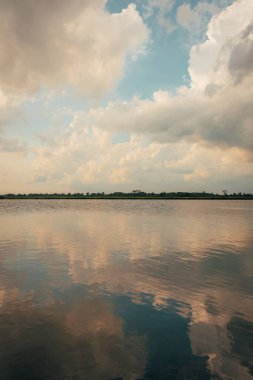 Maryland 'deki Assateague Adası Ulusal Denizi' ndeki sulak alanlarda yansımalar