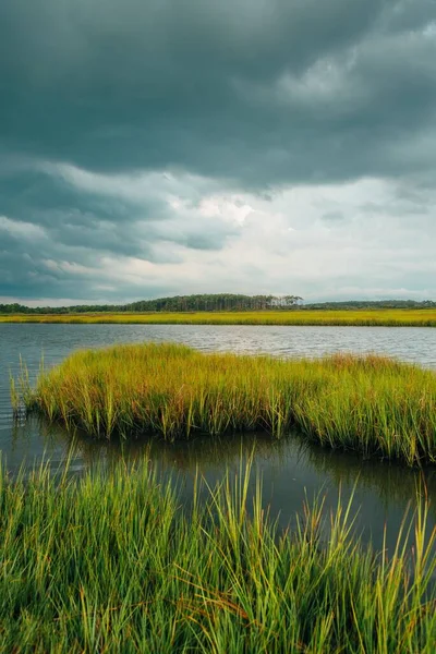 Wetland Bij Assateague Island National Seashore Maryland — Stockfoto