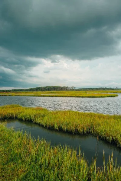 Wetland Assateague Island National Seashore Maryland — Fotografia de Stock