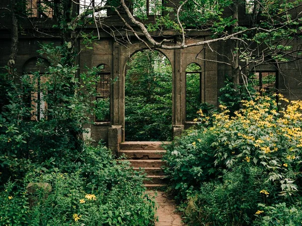 Hotel Ruins Overlook Mountain Catskills Nova Iorque — Fotografia de Stock