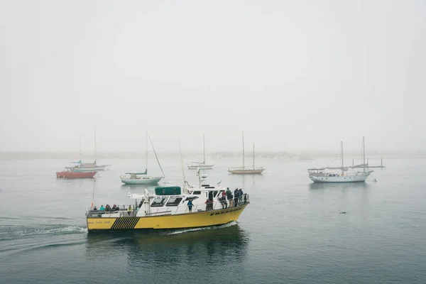 Boats Foggy Morning Morro Bay California — Stock Photo, Image
