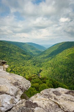 Lindy Point 'ten Davis, Batı Virginia yakınlarındaki Blackwater Falls Eyalet Parkı' na bakın.