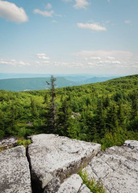 Monongahela Ulusal Ormanı, Batı Virginia Ayı Kayaları Koruma Alanı 'ndan görüntü