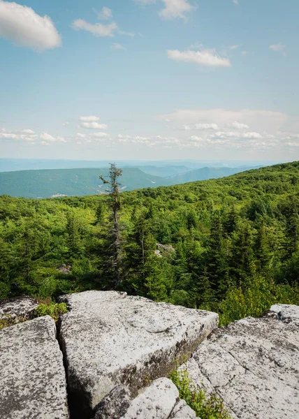 View Bear Rocks Preserve Monongahela National Forest West Virginia — Fotografia de Stock