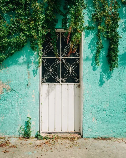 Porta Parede Verde Coahuila México — Fotografia de Stock