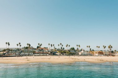 Santa Cruz, California Wharf sahilden görünümünü