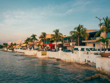 Palm trees and buildings along the water at sunset, in Cozumel, Mexico clipart