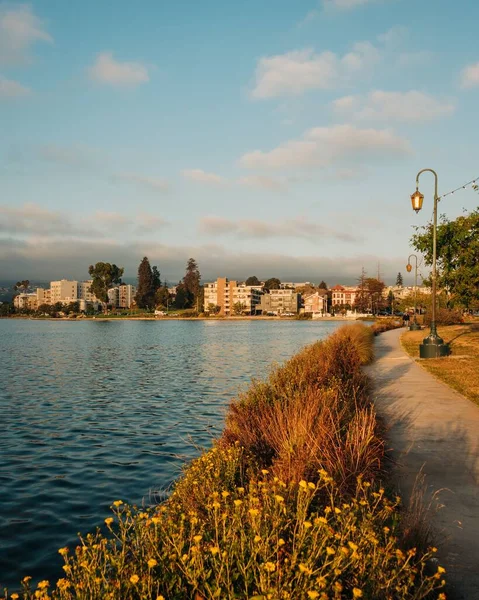 Путь Вдоль Озера Мерритт Лейксайд Парк Окленде Калифорния — стоковое фото