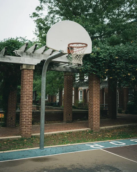 Basketball Cerceau Sur Governors Island Manhattan New York — Photo