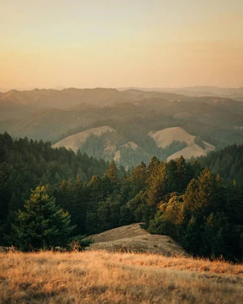 Utsikt Över Böljande Kullar Vid Solnedgången Från Mount Tamalpais Kalifornien — Stockfoto