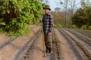 Bahçıvanlık kavramı. Erkek bir çiftçi, bitkileri yetiştirmek için sebze tarlaları yapmak için toprağı çapalıyor..