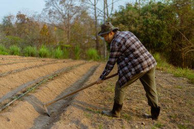 Bahçıvanlık kavramı. Erkek bir çiftçi, bitkileri yetiştirmek için sebze tarlaları yapmak için toprağı çapalıyor..