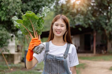 Kadın bahçıvan konsepti. Yeşil sebzeleri tutan eğlenceli bir kadın. Kökleri içinde toprak olan plastik torbayla kaplı..