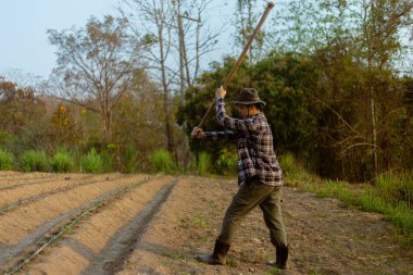 Bahçıvanlık kavramı. Erkek bir çiftçi, bitkileri yetiştirmek için sebze tarlaları yapmak için toprağı çapalıyor..