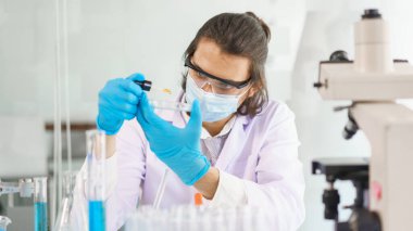 Laboratuvar araştırma konsepti, ilaç araştırması için petri kabına bilimsel çözüm damlası.
