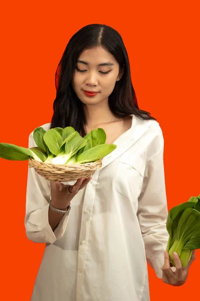 Vegetarisches Konzept Gesunde Frau Hält Korb Mit Babybok Choy Isoliert — Stockfoto