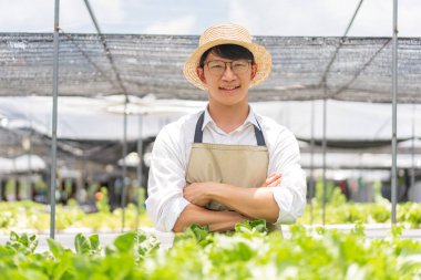 Hidrofonik sebze konsepti, hidroponik salata çiftliğinde kolları çapraz duran genç Asyalı adam..
